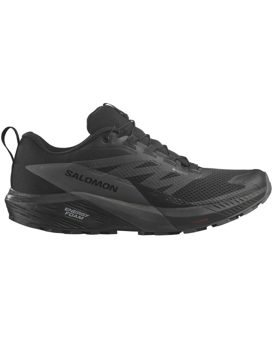 Salomon Sense Ride 5 GTX M Black/Magnet/Black (Storlek 47 1/3)